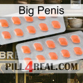 Big Penis 27